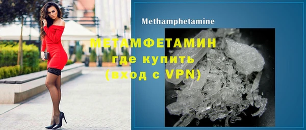 индика Верхний Тагил