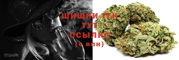 индика Верхнеуральск
