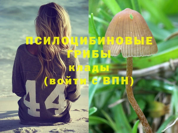индика Верхнеуральск