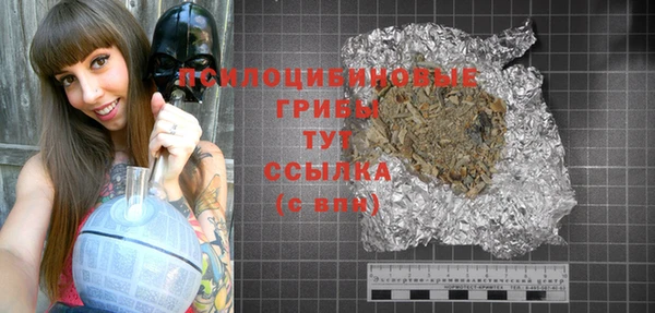 2c-b Верея