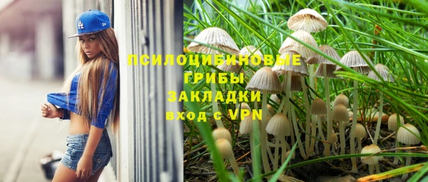 индика Верхний Тагил