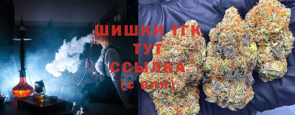 индика Верхнеуральск