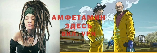индика Верхний Тагил