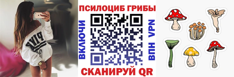 Галлюциногенные грибы Cubensis  MEGA   Медногорск 